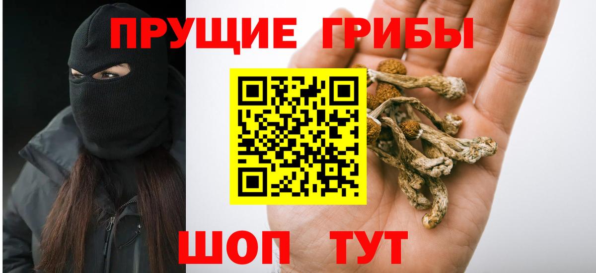 Галлюциногенные грибы GOLDEN TEACHER  Вход с VPN  Богданович 